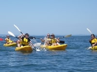 Sea Kayaking from Melbourne